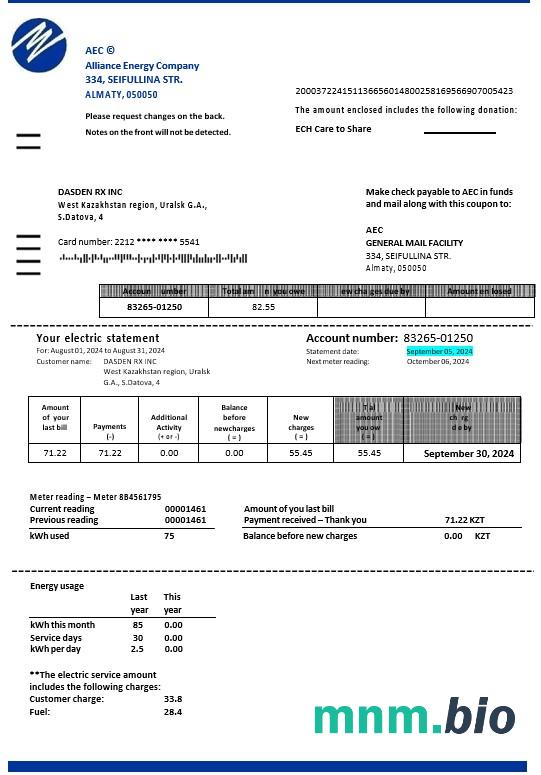 Kazachstan Alliance Energy Company (AEC) rachunek za usługi komunalne Word i szablon PDF